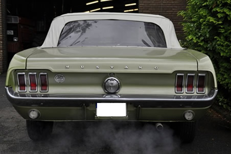 Heck Ford Mustang