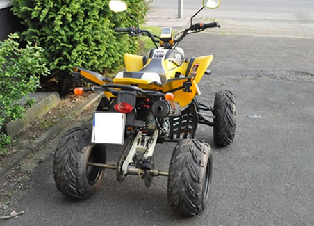 Bashan Quad